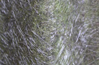 Sunny Hill fibreglass roof work